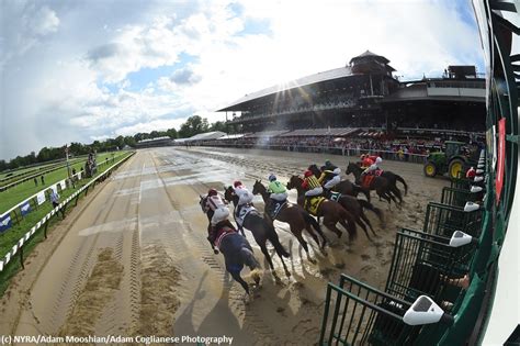 scratches at saratoga